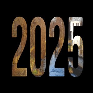 Podsumowanie 2025 roku.